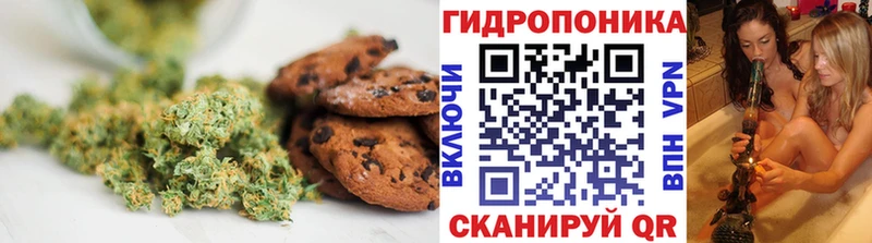 Canna-Cookies конопля  закладки  Будённовск 