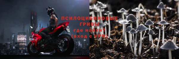 гашик Белокуриха