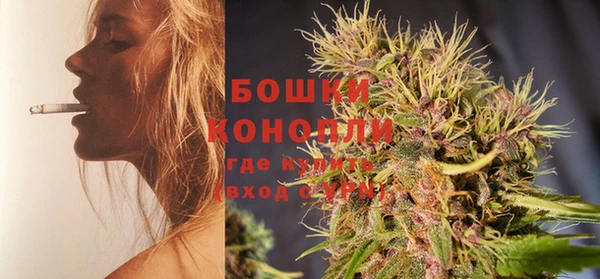 гашик Белокуриха
