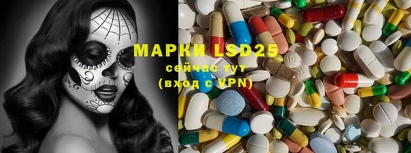 гашик Белокуриха
