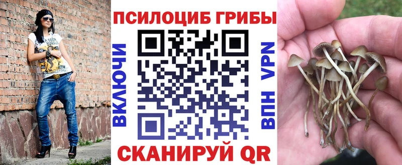 Галлюциногенные грибы мухоморы сайты даркнета Telegram Будённовск